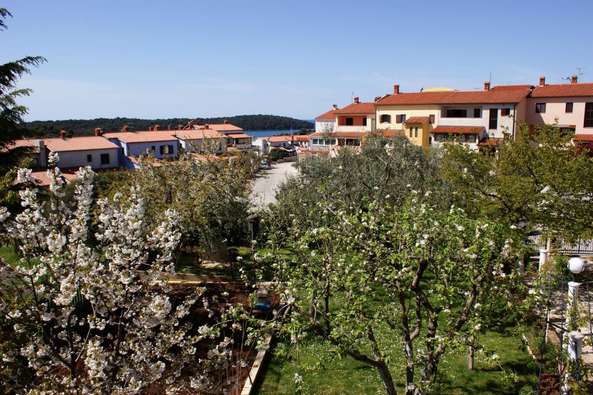 Apartments Cezar Vinkuran Zewnętrze zdjęcie